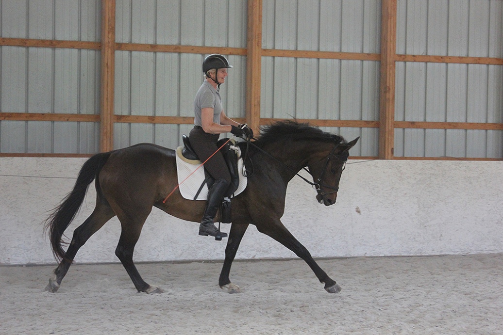 Erin Sweeney riding Hanoverian mare "Wixen."