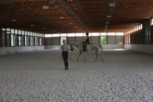 Lunge lesson on the adorable Eap.
